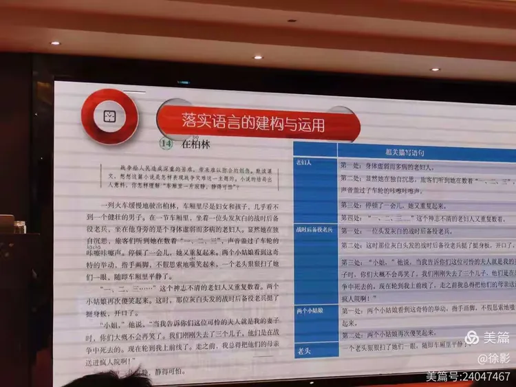 实靠想像，真辦不到 樹根豈可當髯鬚打一生肖，详细解答、前沿解答解释落实